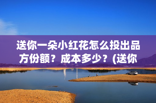 送你一朵小红花怎么投出品方份额？成本多少？(送你一朵小红花结局)