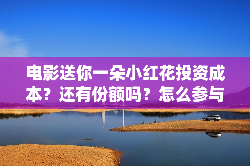 电影送你一朵小红花投资成本？还有份额吗？怎么参与？(电影送你一朵小红花的英文)