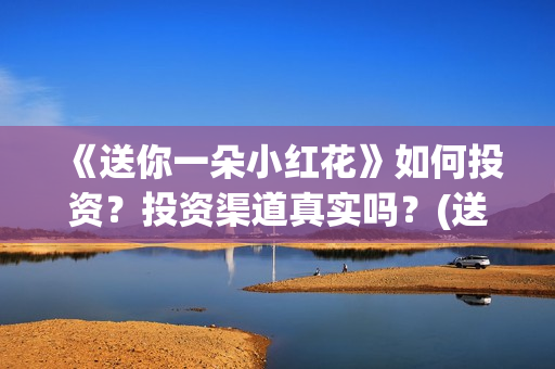 《送你一朵小红花》如何投资？投资渠道真实吗？(送你一朵小红花免费观看完整版)