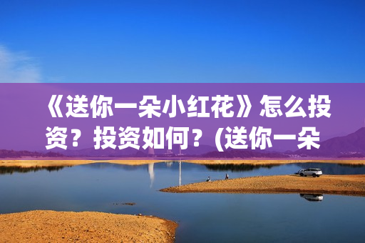 《送你一朵小红花》怎么投资？投资如何？(送你一朵小红花mp3下载)