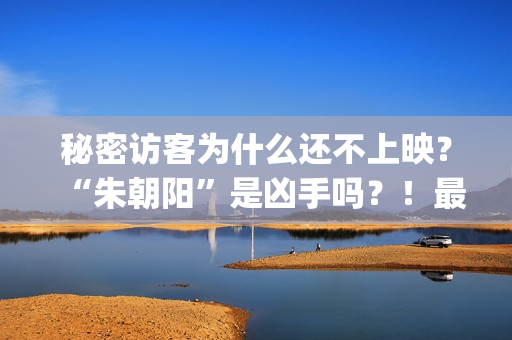 秘密访客为什么还不上映？“朱朝阳”是凶手吗？！最后的结局是怎样的？(秘密访客为什么要囚禁于困樵)