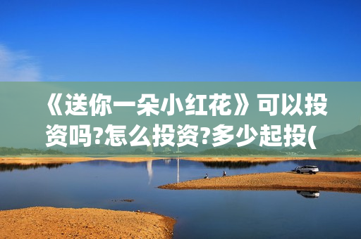 《送你一朵小红花》可以投资吗?怎么投资?多少起投(送你一朵小红花电影免费观看)