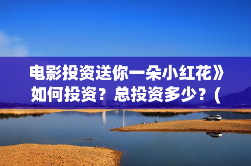 电影投资送你一朵小红花》如何投资？总投资多少？(电影投资独家揭秘)