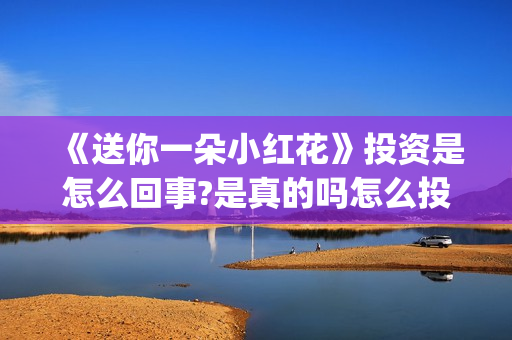 《送你一朵小红花》投资是怎么回事?是真的吗怎么投(送你一朵小红花电影)