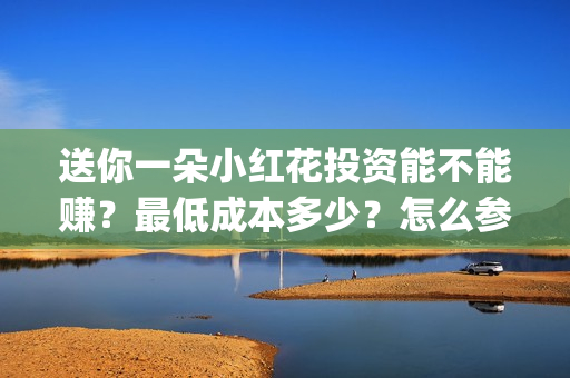 送你一朵小红花投资能不能赚？最低成本多少？怎么参与？(送你一朵小红花歌词)