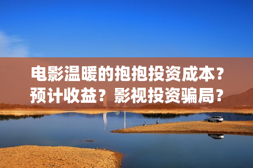 电影温暖的抱抱投资成本？预计收益？影视投资骗局？(电影温暖的抱抱免费观看完整版)