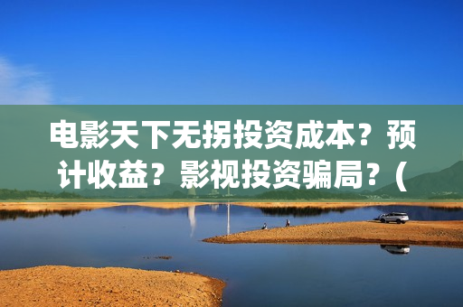 电影天下无拐投资成本？预计收益？影视投资骗局？(天下无拐电影怎么样)