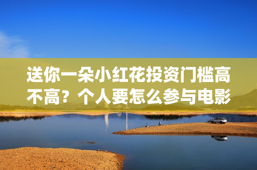 送你一朵小红花投资门槛高不高？个人要怎么参与电影的投资？(送你一朵小红花歌词)
