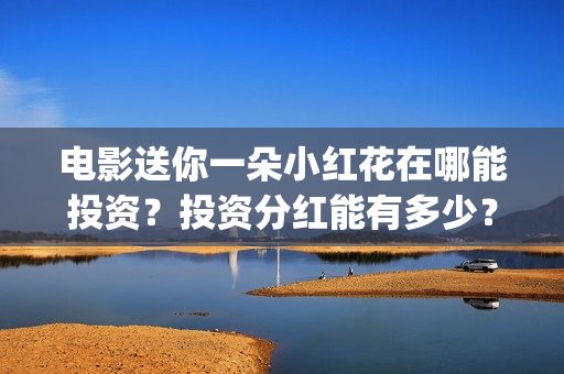 电影送你一朵小红花在哪能投资？投资分红能有多少？(电影送你一朵小红花演员表)