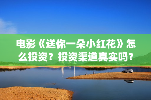 电影《送你一朵小红花》怎么投资？投资渠道真实吗？(电影送你一朵小红花讲述的主题是抗癌吗)
