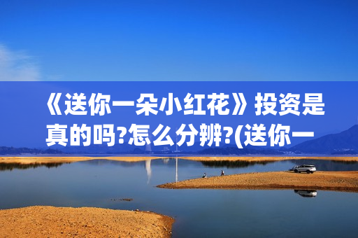 《送你一朵小红花》投资是真的吗?怎么分辨?(送你一朵小红花歌词表达什么意思)