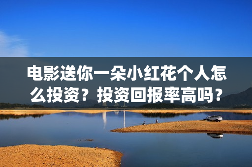 电影送你一朵小红花个人怎么投资？投资回报率高吗？(电影送你一朵小红花讲述的主题是抗癌吗)