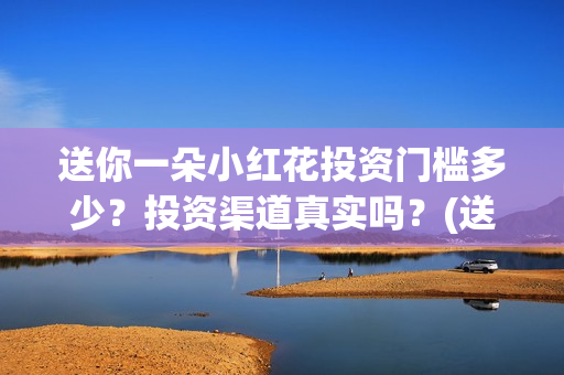 送你一朵小红花投资门槛多少？投资渠道真实吗？(送你一朵小红花歌词表达什么意思)