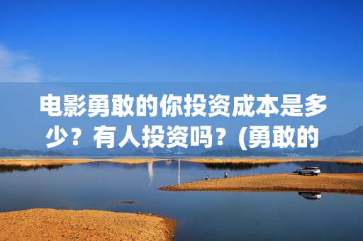电影勇敢的你投资成本是多少？有人投资吗？(勇敢的你上映)