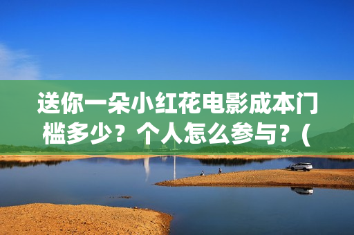 送你一朵小红花电影成本门槛多少？个人怎么参与？(送你一朵小红花结局)