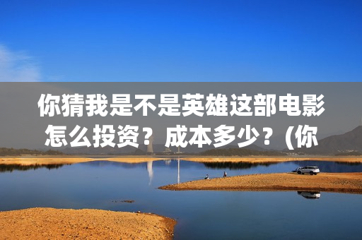 你猜我是不是英雄这部电影怎么投资？成本多少？(你猜我是不是英雄)