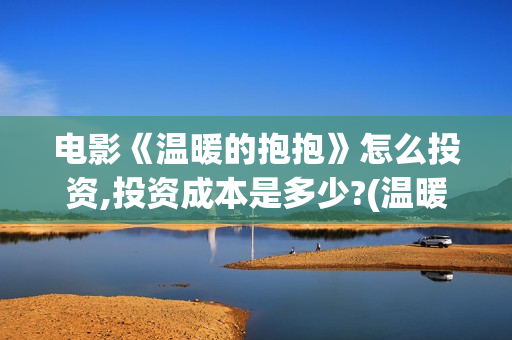 电影《温暖的抱抱》怎么投资,投资成本是多少?(温暖的抱 720p)