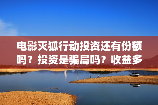 电影灭狐行动投资还有份额吗？投资是骗局吗？收益多少？(灭狐行动主演)