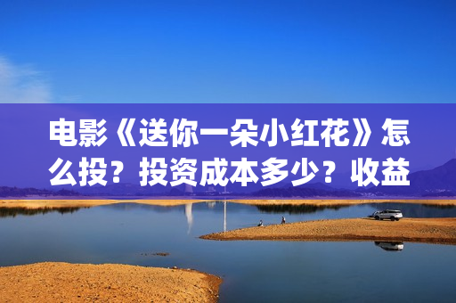 电影《送你一朵小红花》怎么投？投资成本多少？收益怎么算？(电影《送你一朵小红花》的导演和主演)