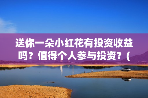 送你一朵小红花有投资收益吗？值得个人参与投资？(送你一朵小红花歌词)