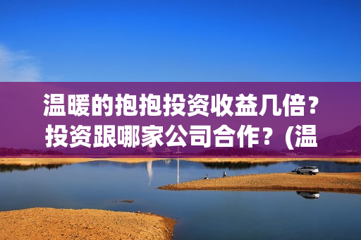 温暖的抱抱投资收益几倍？投资跟哪家公司合作？(温暖的抱抱投资金额)