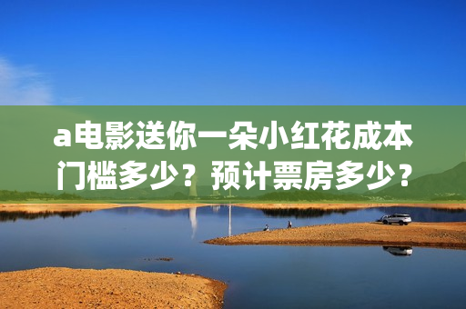 a电影送你一朵小红花成本门槛多少？预计票房多少？(送你一朵花完整版)