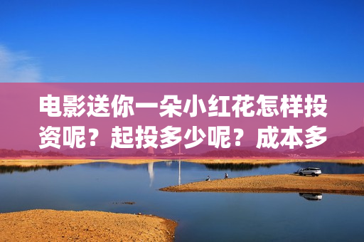 电影送你一朵小红花怎样投资呢？起投多少呢？成本多少(电影送你一朵小红花完整版免费观看)