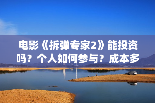 电影《拆弹专家2》能投资吗？个人如何参与？成本多少？(拆弹专家大电影)
