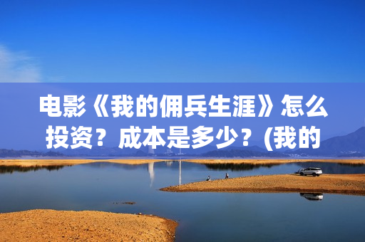 电影《我的佣兵生涯》怎么投资？成本是多少？(我的佣兵生涯百度百科)
