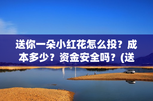 送你一朵小红花怎么投？成本多少？资金安全吗？(送你一朵小红花演员表)