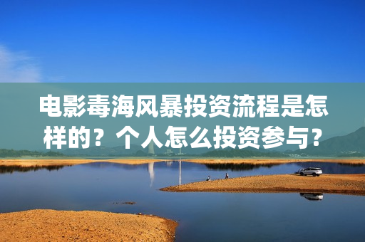 电影毒海风暴投资流程是怎样的？个人怎么投资参与？(毒海风暴上映时间)