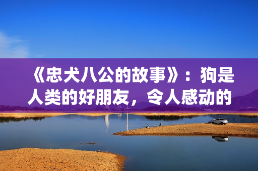 《忠犬八公的故事》：狗是人类的好朋友，令人感动的真实故事(忠犬八公的故事简介)