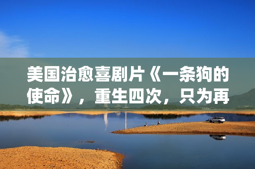 美国治愈喜剧片《一条狗的使命》，重生四次，只为再次遇见你！(必看美国喜剧)