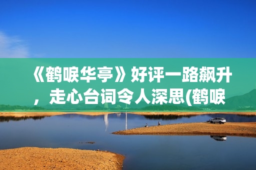 《鹤唳华亭》好评一路飙升，走心台词令人深思(鹤唳华亭说的什么)
