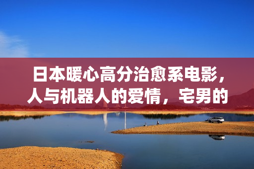 日本暖心高分治愈系电影，人与机器人的爱情，宅男的理想型女友(日本电影温馨治愈)