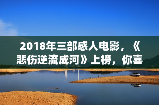 2018年三部感人电影，《悲伤逆流成河》上榜，你喜欢哪一部？(2018年优秀电影)