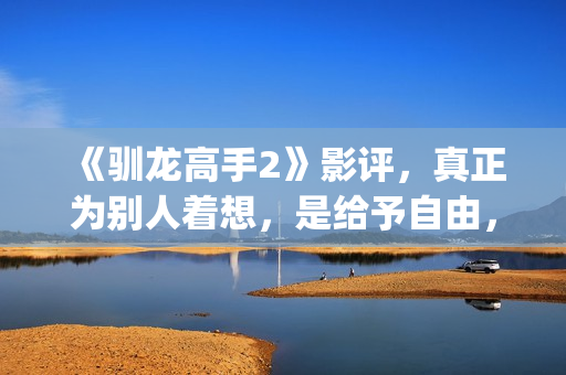 《驯龙高手2》影评，真正为别人着想，是给予自由，这才是真的爱(驯龙高手2英文版免费观看完整版)
