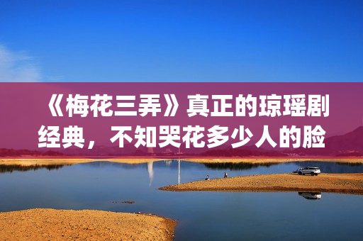 《梅花三弄》真正的琼瑶剧经典，不知哭花多少人的脸(梅花三弄mv)