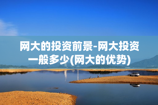 网大的投资前景-网大投资一般多少(网大的优势)
