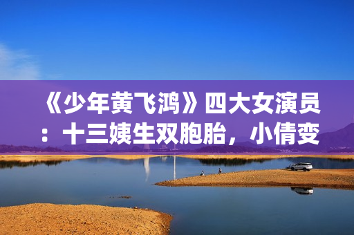 《少年黄飞鸿》四大女演员：十三姨生双胞胎，小倩变美，最红是她(少年黄飞鸿之铁马骝免费观看)