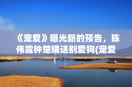 《宠爱》曝光新的预告，陈伟霆钟楚曦送别爱狗(宠爱ing)