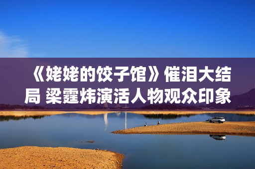 《姥姥的饺子馆》催泪大结局 梁霆炜演活人物观众印象深刻(姥姥的饺子馆大结局)