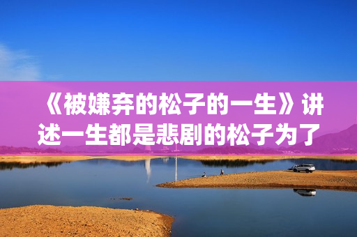 《被嫌弃的松子的一生》讲述一生都是悲剧的松子为了得到爱，一生都是取悦别人(被嫌弃的松子的一生电影完整版故事背景时间)