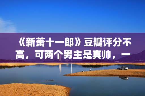 《新萧十一郎》豆瓣评分不高，可两个男主是真帅，一个比一个养眼(新萧十一郎 电视剧)