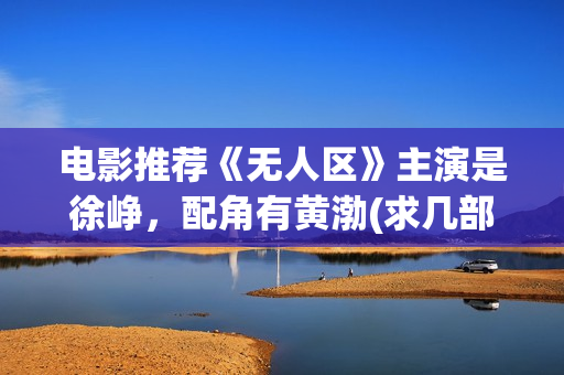 电影推荐《无人区》主演是徐峥，配角有黄渤(求几部无人区的电影)