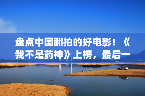 盘点中国翻拍的好电影！《我不是药神》上榜，最后一部捧红了黄渤(盘点中国翻拍的动画片)