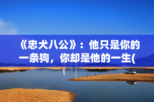 《忠犬八公》：他只是你的一条狗，你却是他的一生(忠犬八公导演是谁)