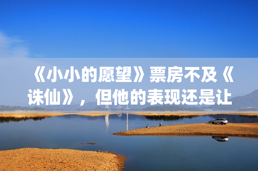 《小小的愿望》票房不及《诛仙》，但他的表现还是让我忍不住称赞(小小的愿望结局)