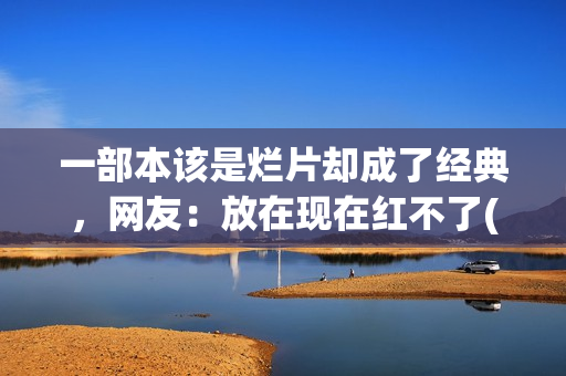一部本该是烂片却成了经典，网友：放在现在红不了(一部本该是烂片的电视剧)