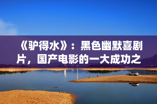 《驴得水》：黑色幽默喜剧片，国产电影的一大成功之作！(驴得水背后深层含义)
